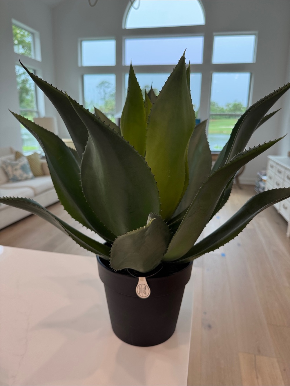 Hobby Lobby Faux Agave Plant
